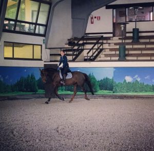 TRAINING AT JANE RICHARD PHILIPS STABLES INTO GRAZIANO MANCINELLI ARENA