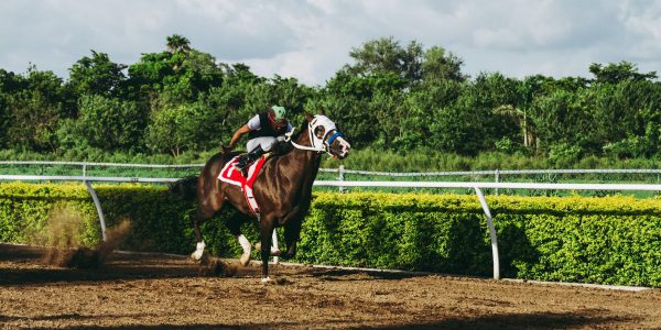 Online Betting on horse racing using no deposit bonus